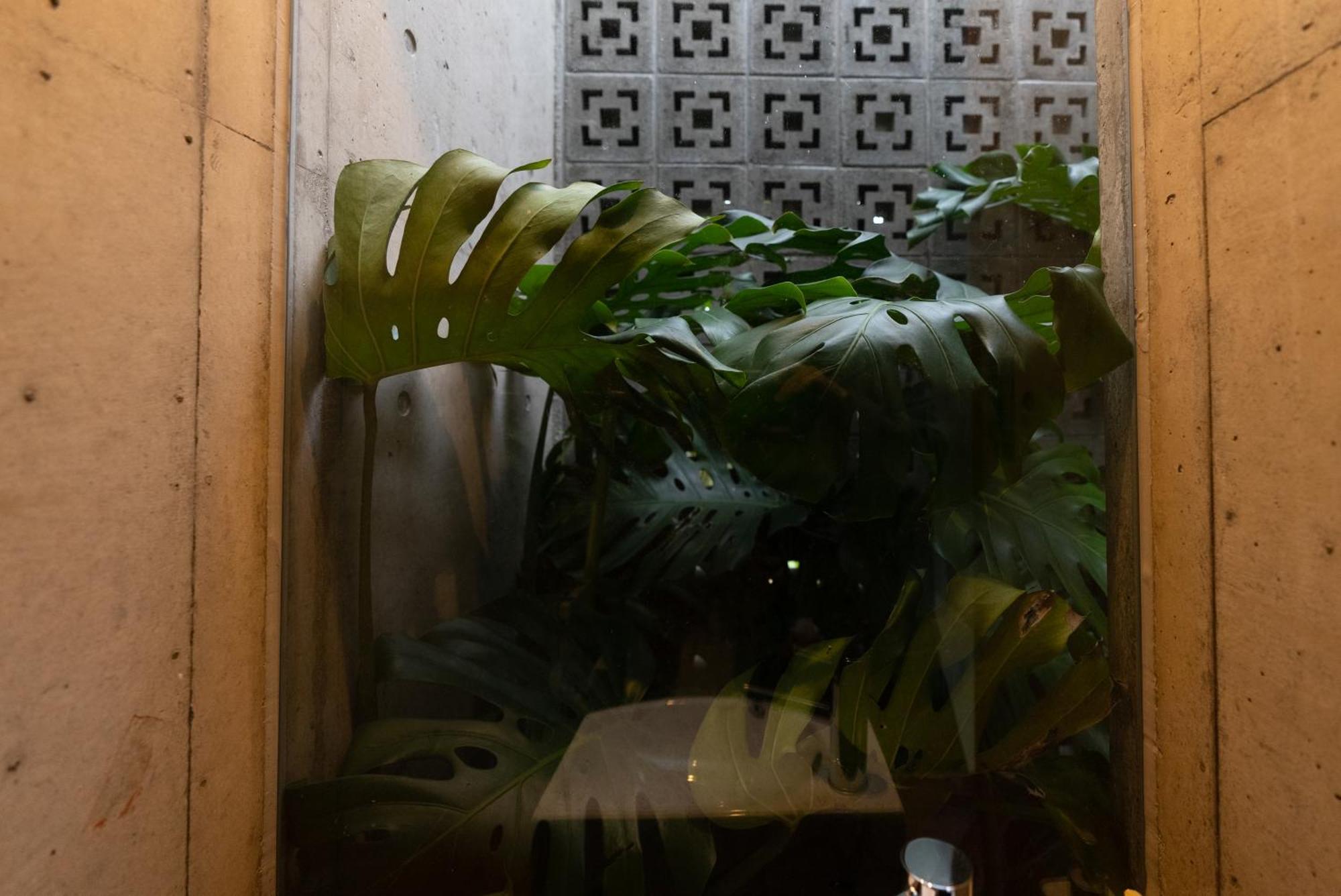 -Musee Villa- 今帰仁村 エクステリア 写真
